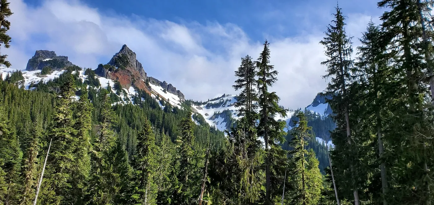 Tatoosh Range peaks over evergreen forest